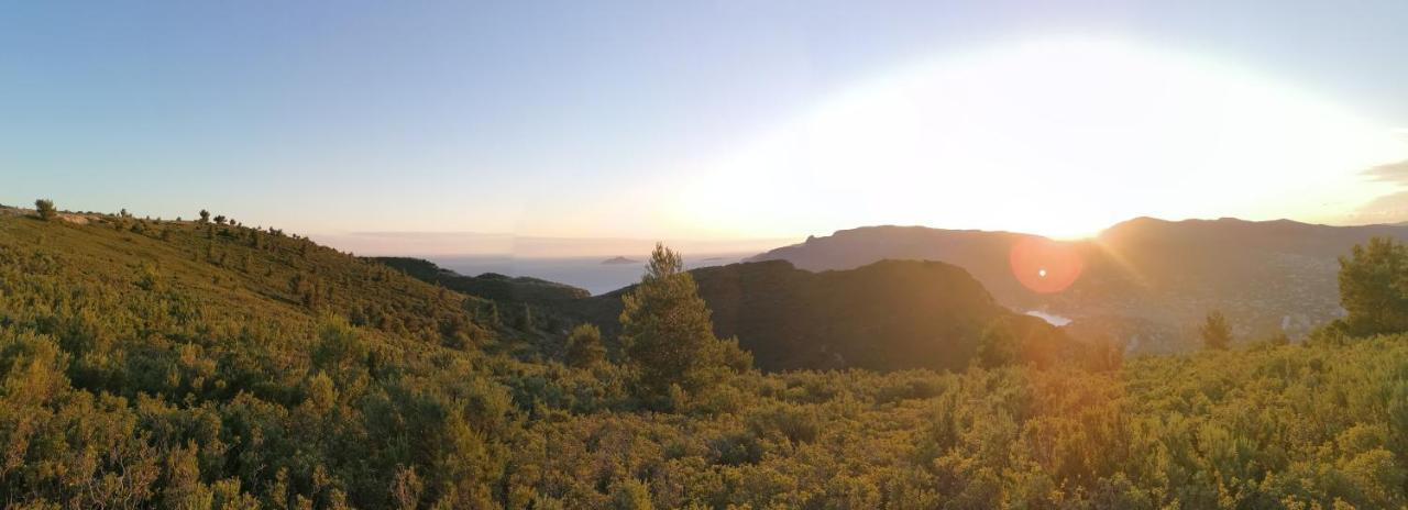 Paradise *