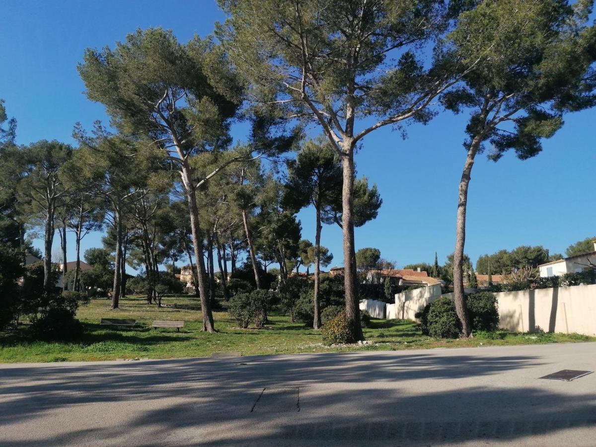Paradise Apartment Cassis