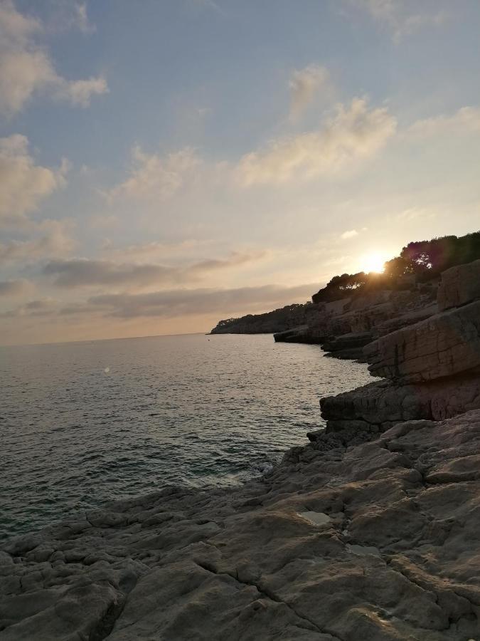 Paradise Apartment Cassis